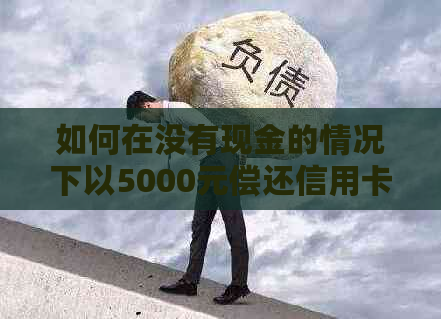 如何在没有现金的情况下以5000元偿还信用卡债务