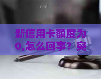 新信用卡额度为0,怎么回事？突然无法使用还呗进行还款。