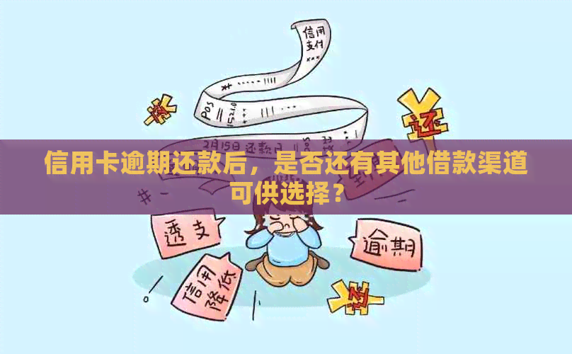 信用卡逾期还款后，是否还有其他借款渠道可供选择？