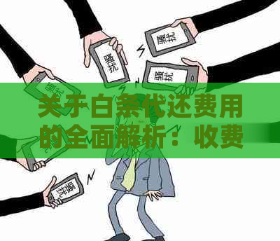 关于白条代还费用的全面解析：收费标准、操作流程和注意事项