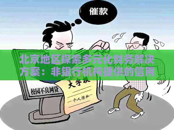 北京地区探索多元化财务解决方案：非银行机构提供的信用卡代还服务详情