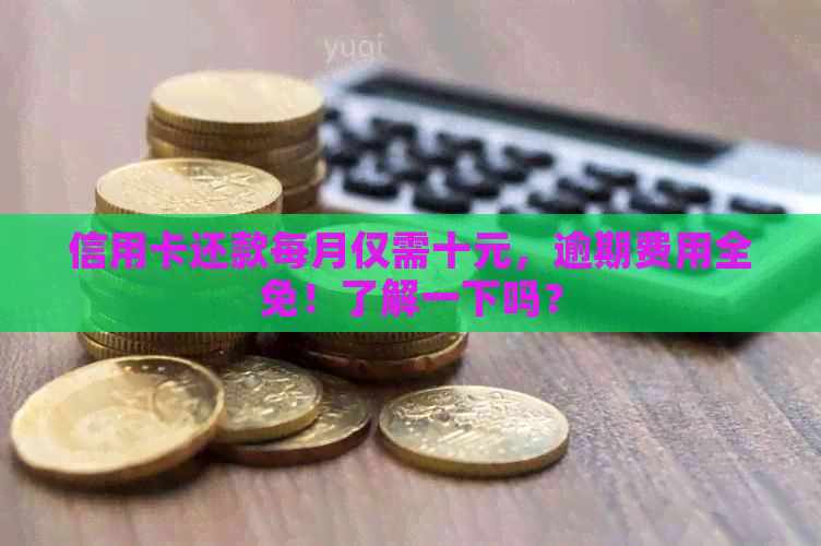 信用卡还款每月仅需十元，逾期费用全免！了解一下吗？