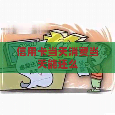 信用卡当天消费当天能还么