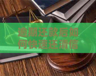 逾期还款后如何快速还清信用卡蚂蚁积分？