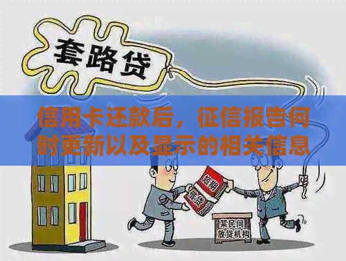 信用卡还款后，报告何时更新以及显示的相关信息有哪些？