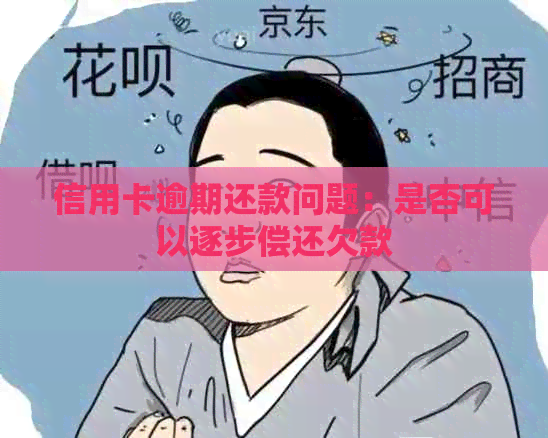 信用卡逾期还款问题：是否可以逐步偿还欠款