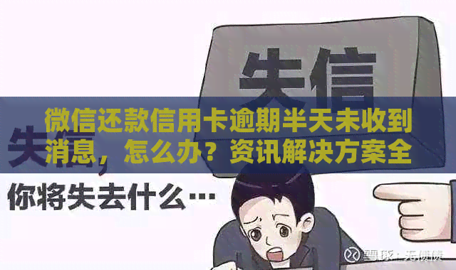 微信还款信用卡逾期半天未收到消息，怎么办？资讯解决方案全解析！