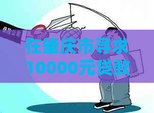 在肇庆市寻求10000元贷款的正规网贷平台有哪些？