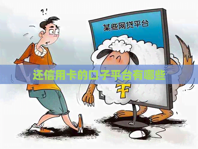 还信用卡的口子平台有哪些