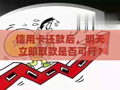 信用卡还款后，明天立即取款是否可行？最新资讯来解答！