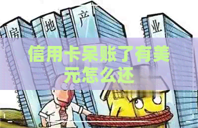 信用卡呆账了有美元怎么还