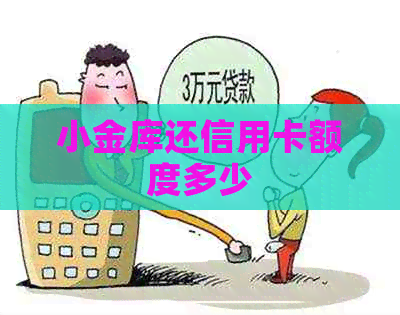 小金库还信用卡额度多少