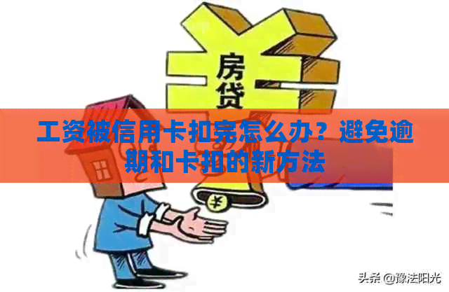 工资被信用卡扣完怎么办？避免逾期和卡扣的新方法