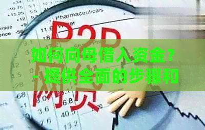 如何向母借入资金？ - 提供全面的步骤和建议