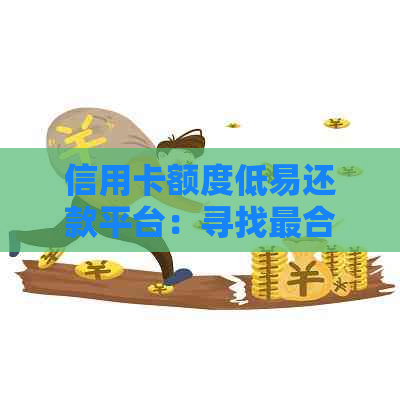 信用卡额度低易还款平台：寻找最合适的信用卡使用方案