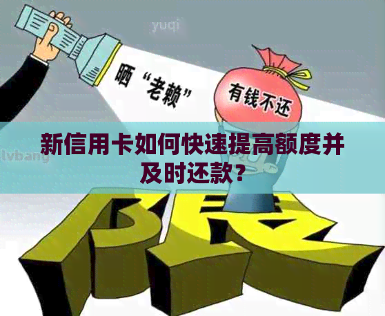 新信用卡如何快速提高额度并及时还款？