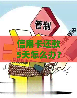 信用卡还款5天怎么办？逾期后的影响与解决办法一文解析