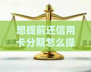 想提前还信用卡分期怎么操作？第13个月出账日还是还款日？