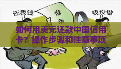 如何用美元还款中国信用卡？操作步骤和注意事项全解析