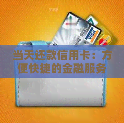 当天还款信用卡：方便快捷的金融服务体验