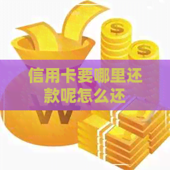 信用卡要哪里还款呢怎么还