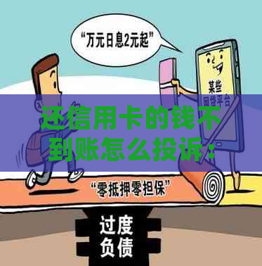 还信用卡的钱不到账怎么投诉：解决方法与电话