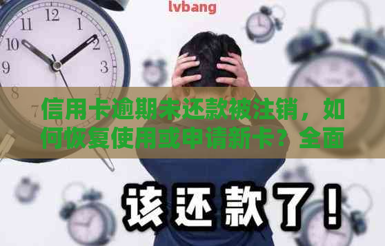 信用卡逾期未还款被注销，如何恢复使用或申请新卡？全面解决方案