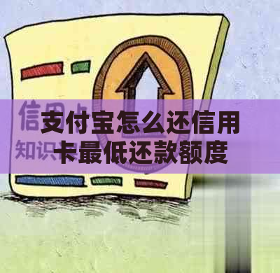 支付宝怎么还信用卡更低还款额度