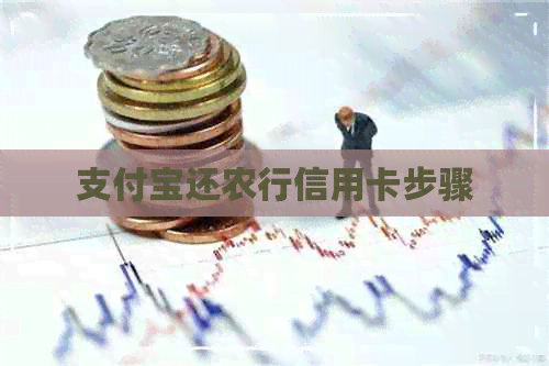 支付宝还农行信用卡步骤