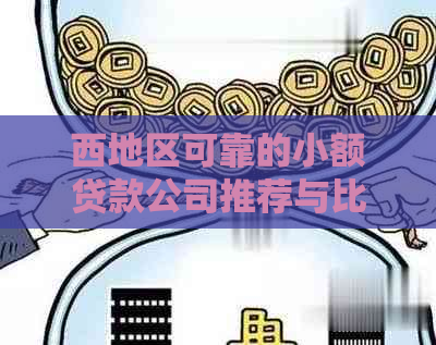 西地区可靠的小额贷款公司推荐与比较