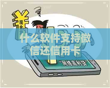 什么软件支持微信还信用卡