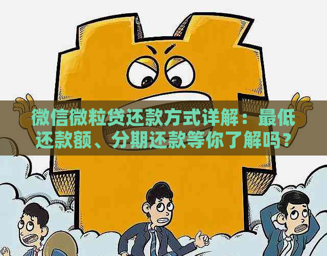 微信微粒贷还款方式详解：更低还款额、分期还款等你了解吗？