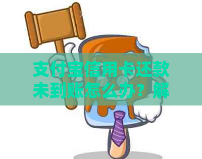 支付宝信用卡还款未到账怎么办？解决常见疑问及处理方法