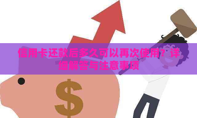 信用卡还款后多久可以再次使用？详细解答与注意事项