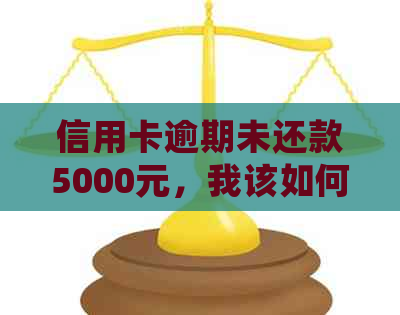 信用卡逾期未还款5000元，我该如何处理？逾期后果与解决办法全解析