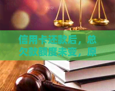 信用卡还款后，总欠款额度未变，原因及解决方法全解析