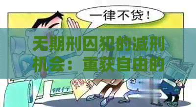 无期刑囚犯的减刑机会：重获自由的可能性与现实条件