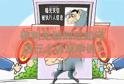 被判无期刑后如何进行上诉及申诉？