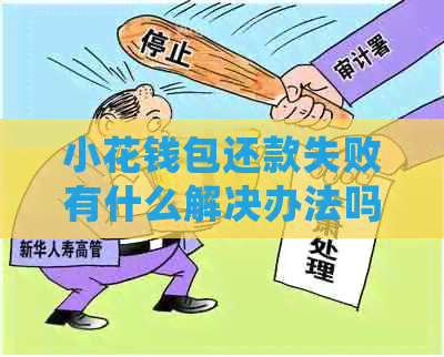 小花钱包还款失败有什么解决办法吗？如何处理主动还款失败情况？