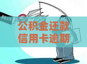 公积金还款信用卡逾期问题解决方案及资讯汇总