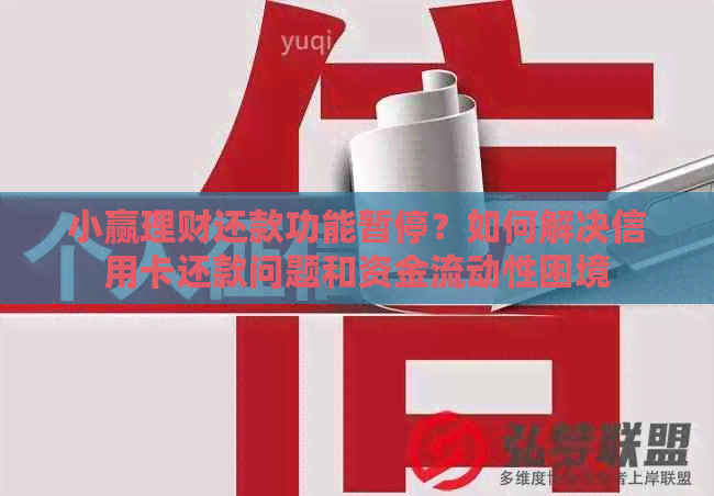 小赢理财还款功能暂停？如何解决信用卡还款问题和资金流动性困境