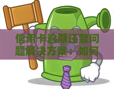 信用卡逾期还款问题解决方案：如何选择合适的代还服务