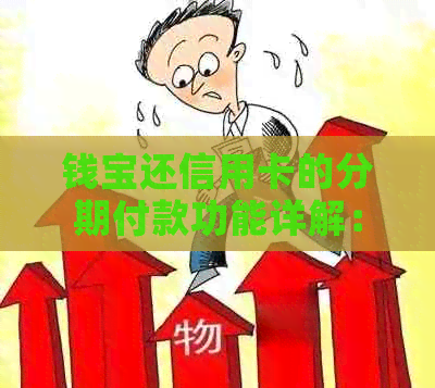 钱宝还信用卡的分期付款功能详解：如何操作，额度限制及注意事项