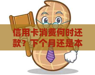 信用卡消费何时还款？下个月还是本月？了解详细还款时间表及注意事项