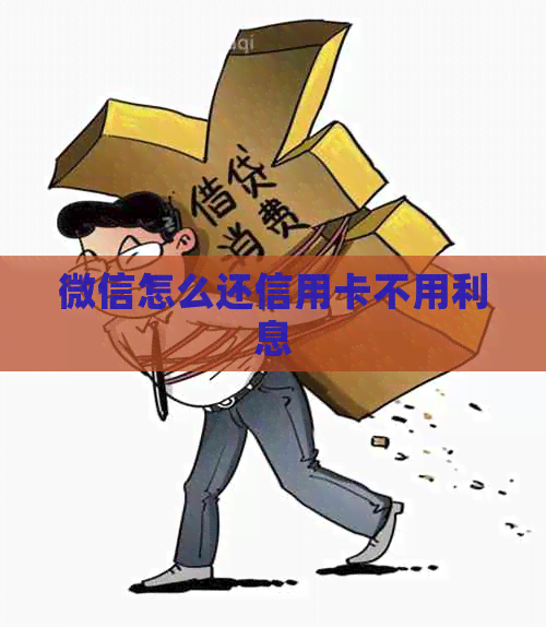 微信怎么还信用卡不用利息