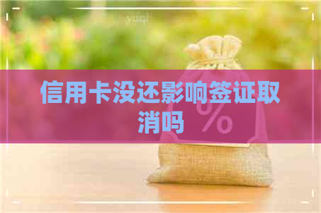 信用卡没还影响签证取消吗