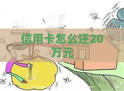 信用卡怎么还20万元