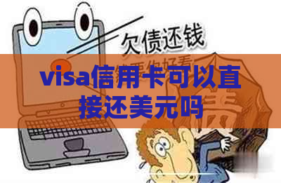 visa信用卡可以直接还美元吗