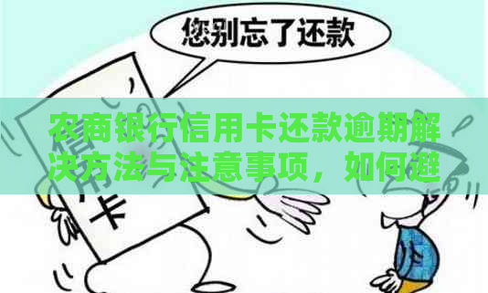 农商银行信用卡还款逾期解决方法与注意事项，如何避免忘记还款带来的影响？