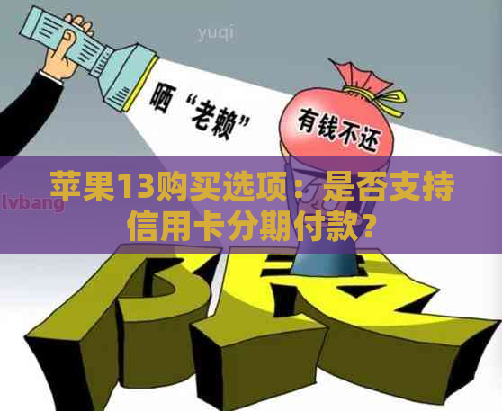 苹果13购买选项：是否支持信用卡分期付款？